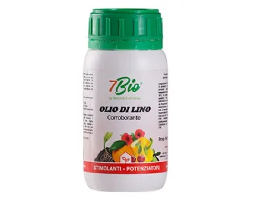 olio di lino