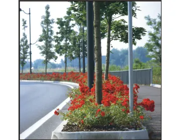 Red Mirato® – CentrO® Rose - TANonorez 