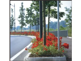 Red Mirato® – CentrO® Rose - TANonorez 